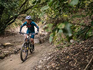 glückliche Mountainbikerin auf einem Trail durch den Wald