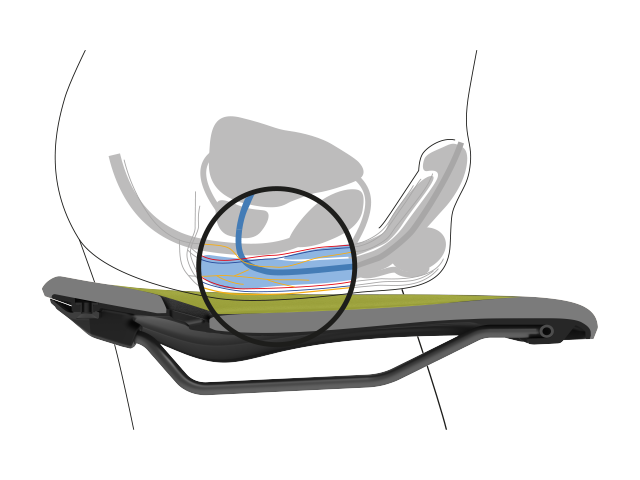 Position eines männlichen Beckens im Querschnitt mit Darstellung der Nervenbahnen, Knochen und Weichteile die Entlastung auf einem Ergon-Sattel wird deutlich.