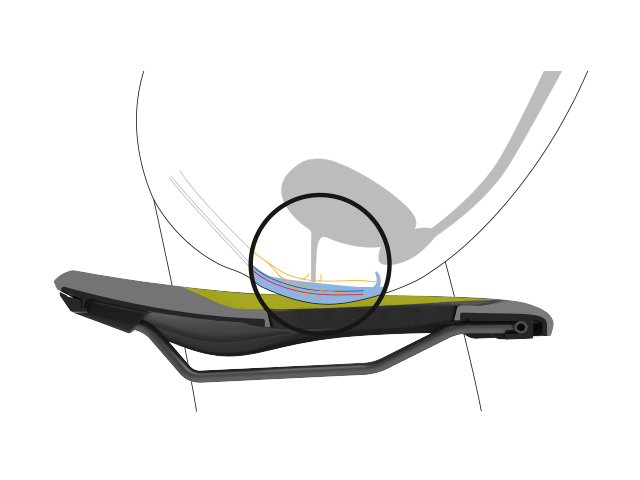 Position eines weiblichen Beckens im Querschnitt mit Darstellung der Nervenbahnen, Knochen und Weichteile, die die Entlastung durch einen Ergon-Sattel verdeutlicht.