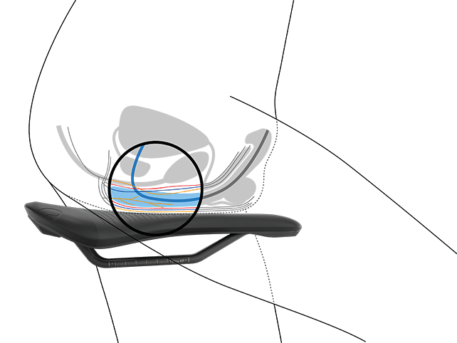 Cross section of male lower body on saddle