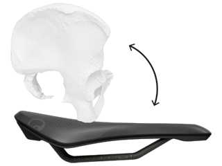 Side view, female pelvis on saddle with illustration of pelvic tilt
