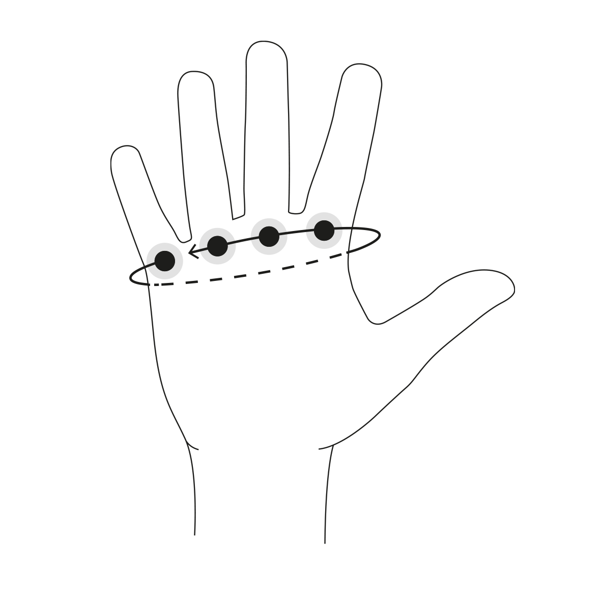 Ergon graphic of a hand highlighting the section to be measured for gloves.
