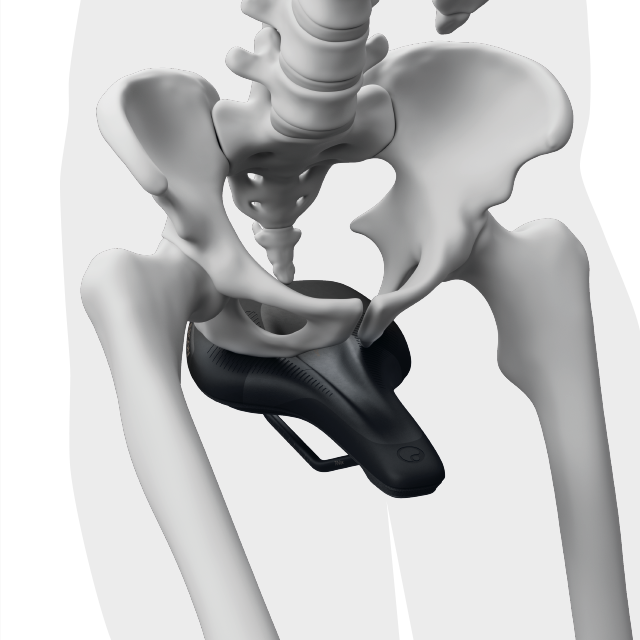 Abbildung eines Skeletts auf einem Sattel.
