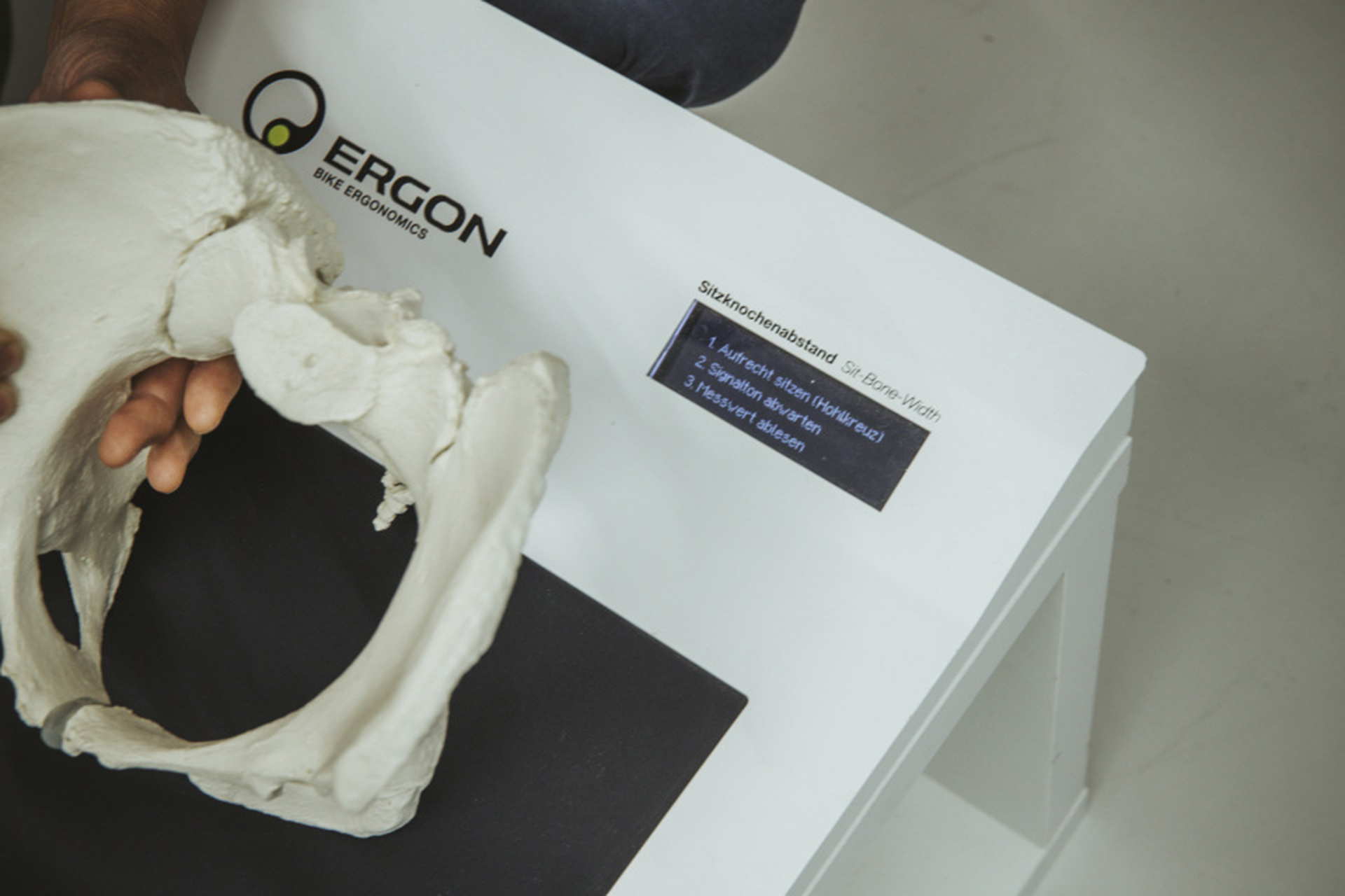 Mit einem Modell eines Beckens wird demonstriert, wie die Sitzbreitenmessung funktioniert.