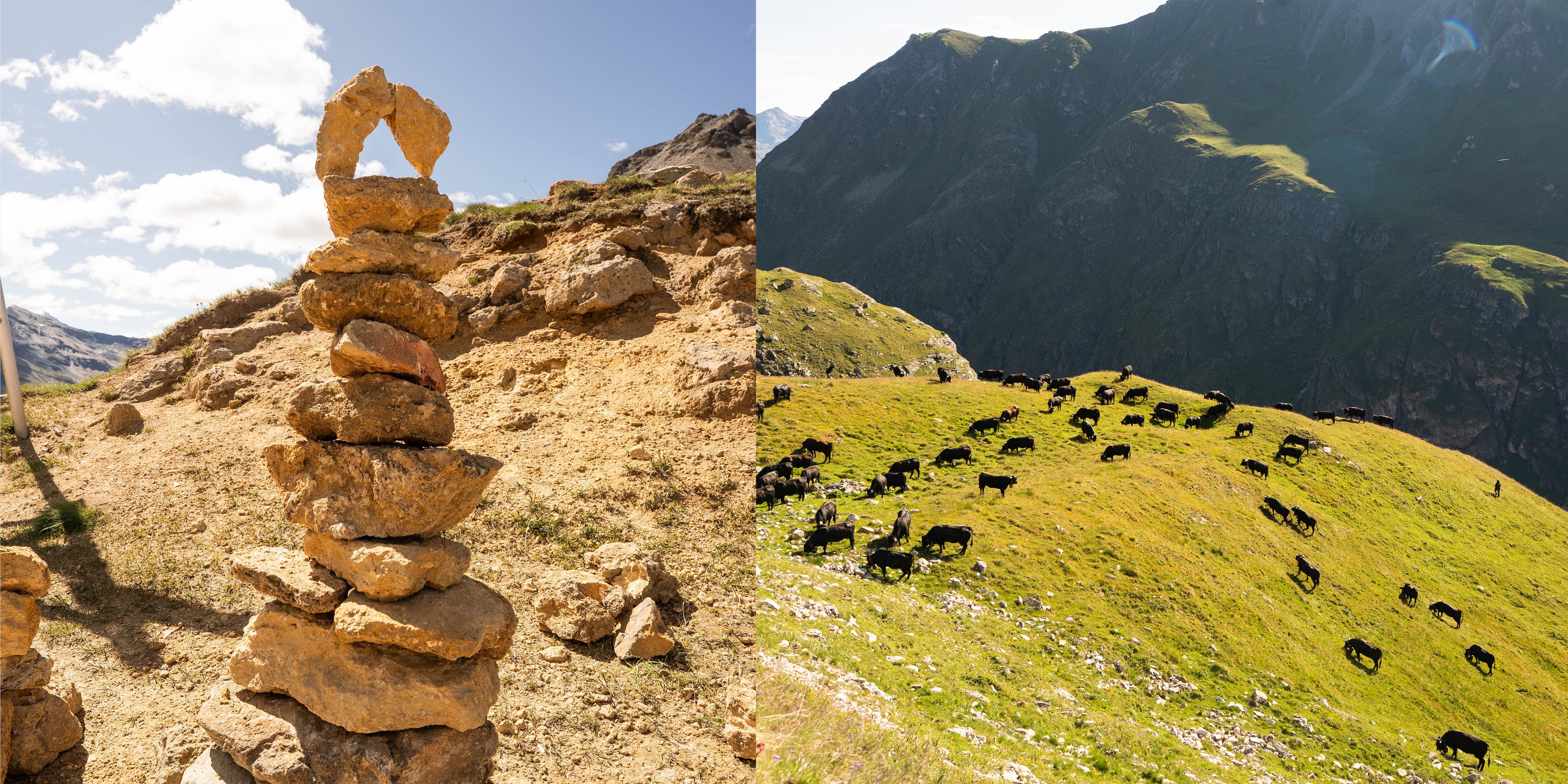 Split landscape shot. On the left is a rocky mountain, on the right a green mountain meadow.