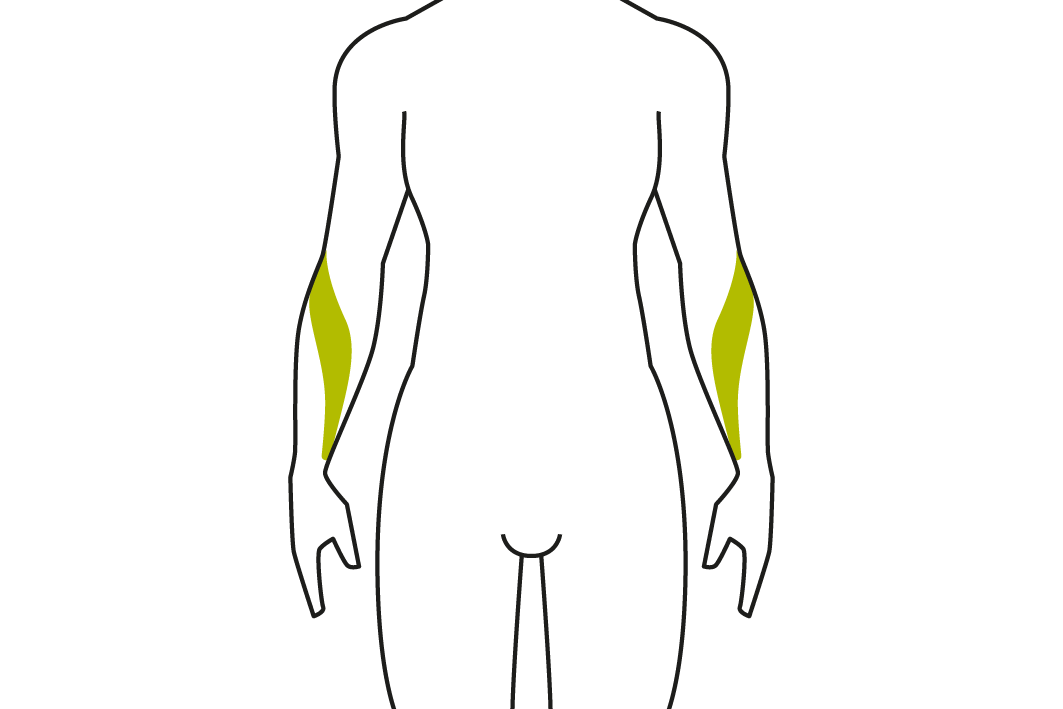 Gezeichnete Silhouette eines Mannes mit grün markierten Unterarmmuskeln