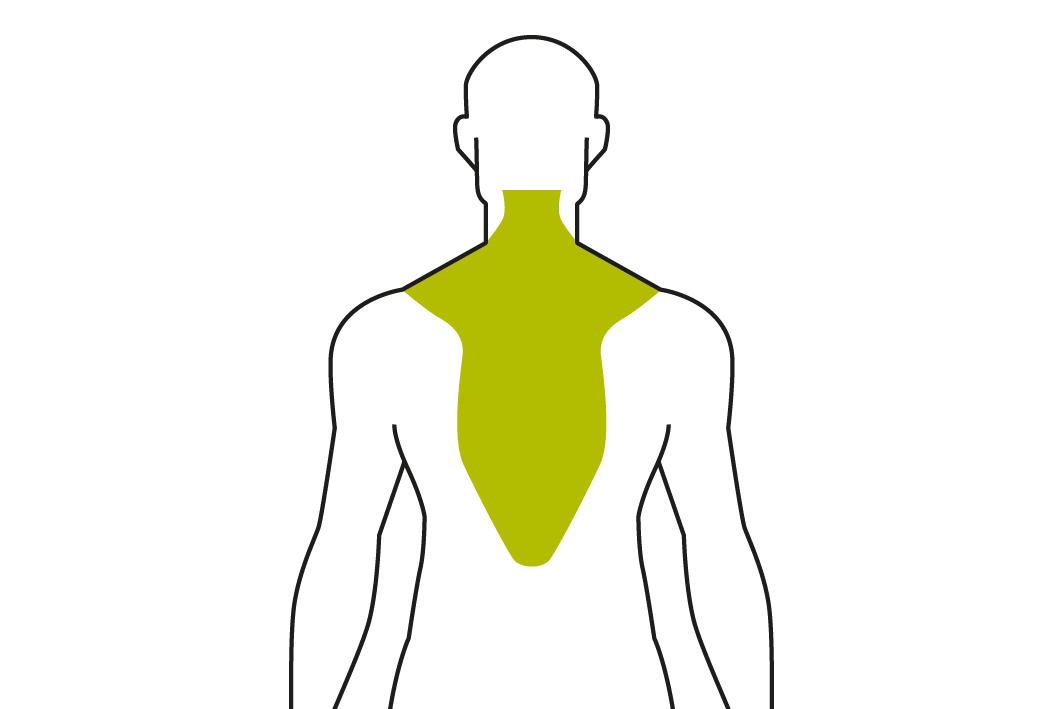 Gezeichnete Silhouette eines Mannes mit grün markierten Rückenmuskeln
