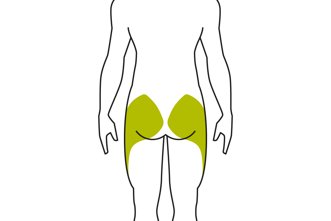 Gezeichnete Silhouette eines Mannes mit grün markierten Gesäßmuskeln