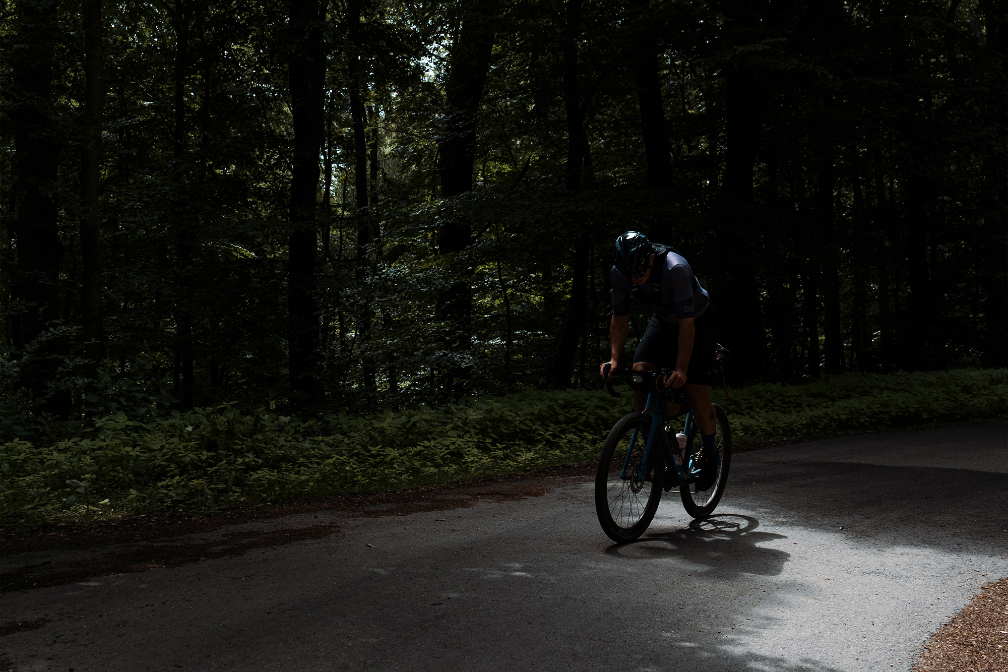 Cyclist rides a narrow paved road through a shaded, dense forest
Photographer Jakab Rokob
