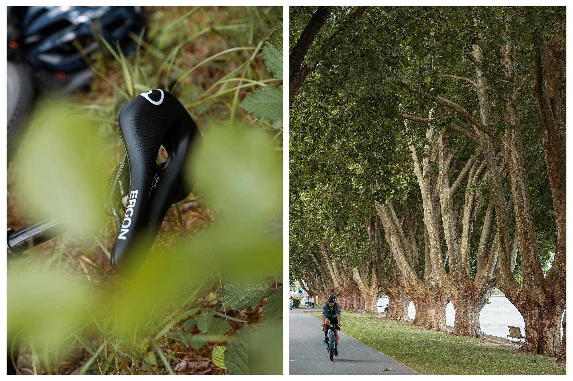 Two-photo collage showing an Ergon saddle SR Allroad Pro Carbon Men through leaves and a cyclist on a shaded avenue
Photographer Jakab Rokob