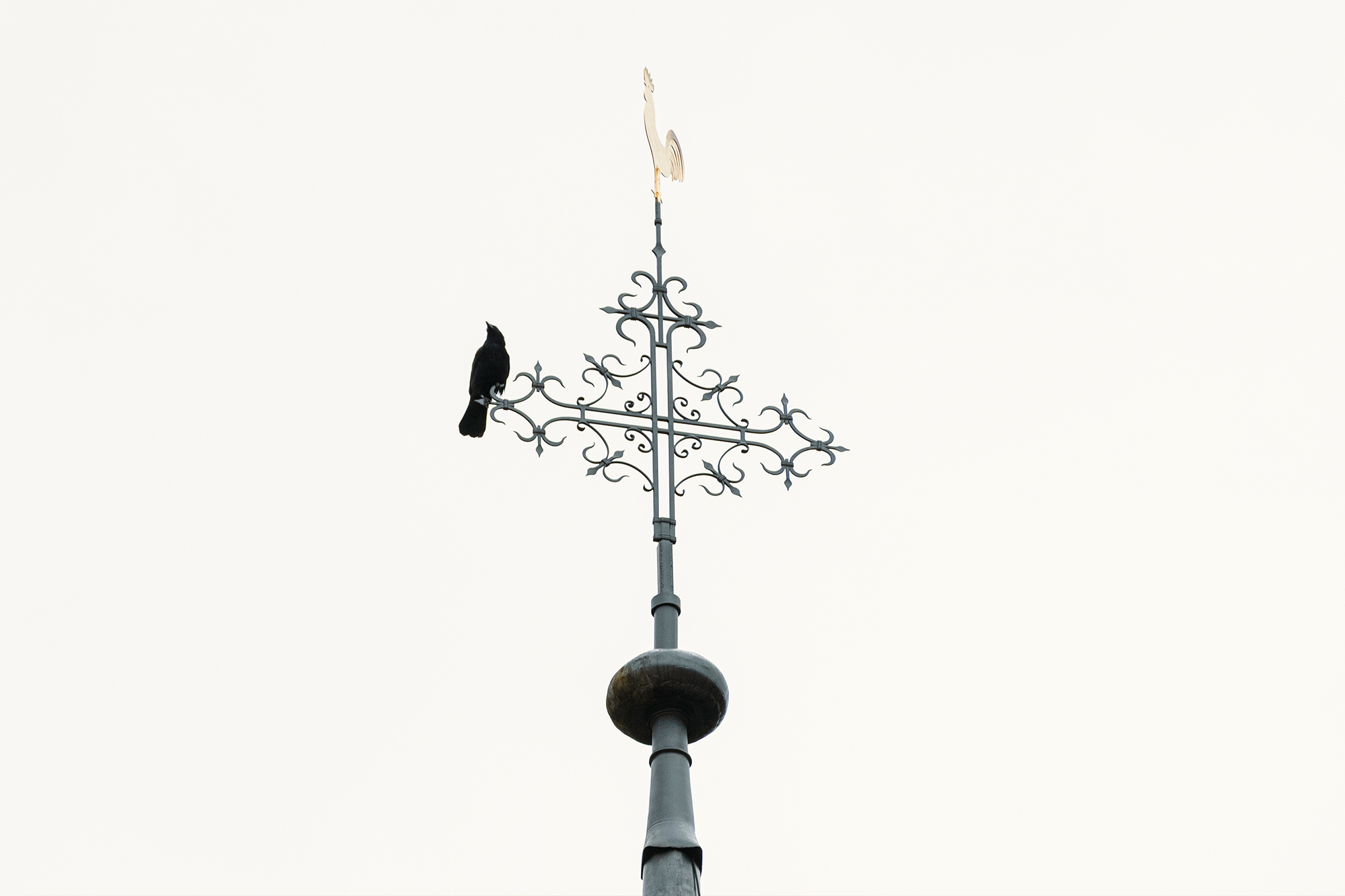 Wrought-iron weathervane with a bird silhouette rising against a bright sky
Photographer: Ingvar Vollprecht