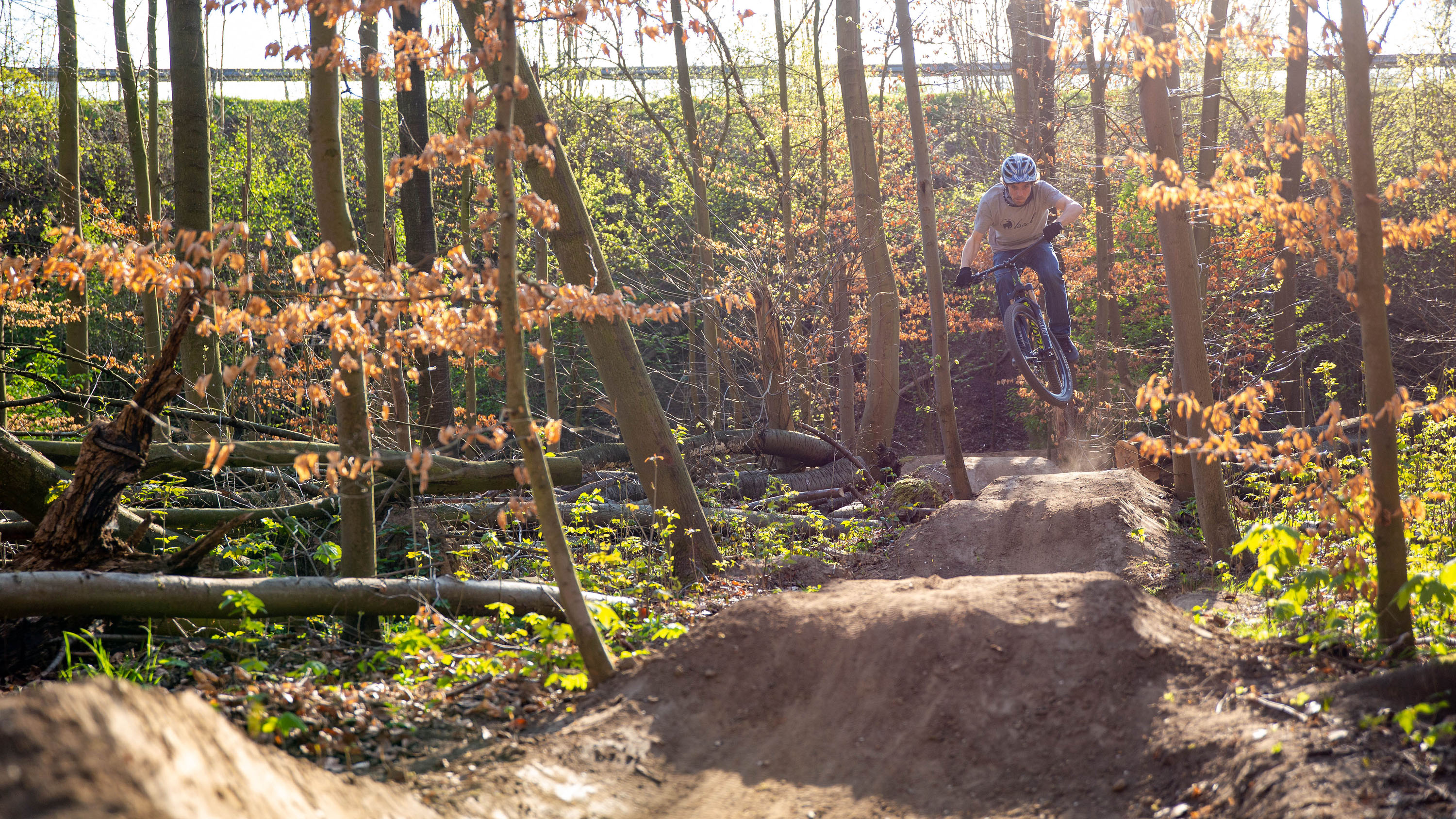 Ein MTB Fahrer fährt über einen Pumptrack im Wald.