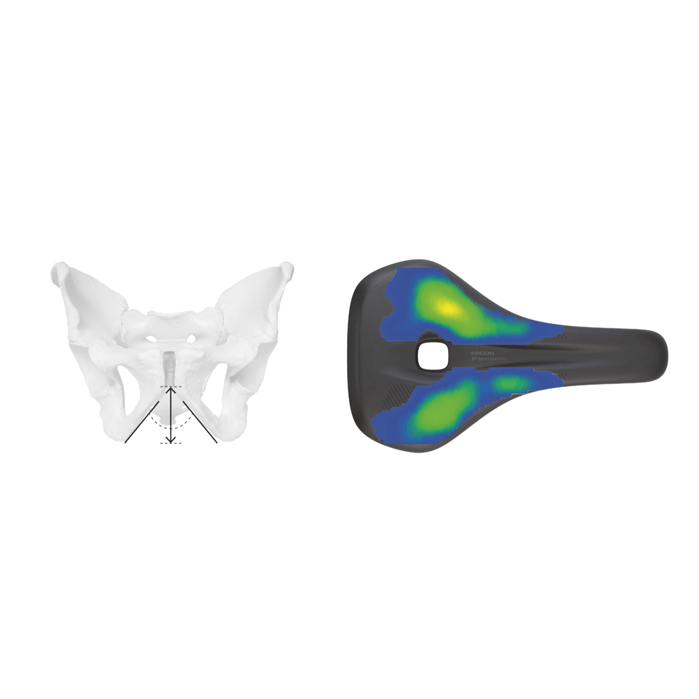 Männliches Becken und Ergon Sattel SF Sport Gel Men Männliches Becken und Ergon Sattel SF Sport Gel Men mit Druckverteilung