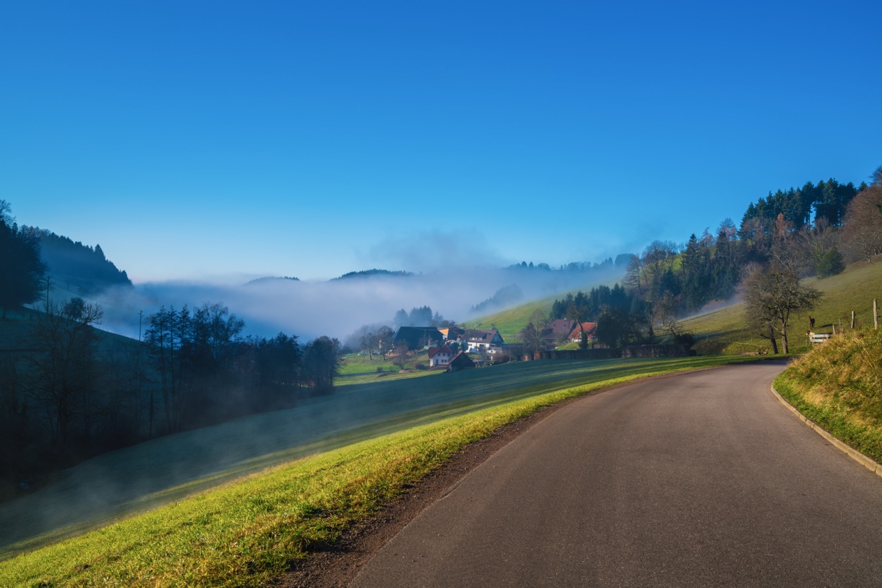 Panoramaaufnahme des Belchen im Schwarzwald mit kurviger Bergstraße und dichter Waldlandschaft.