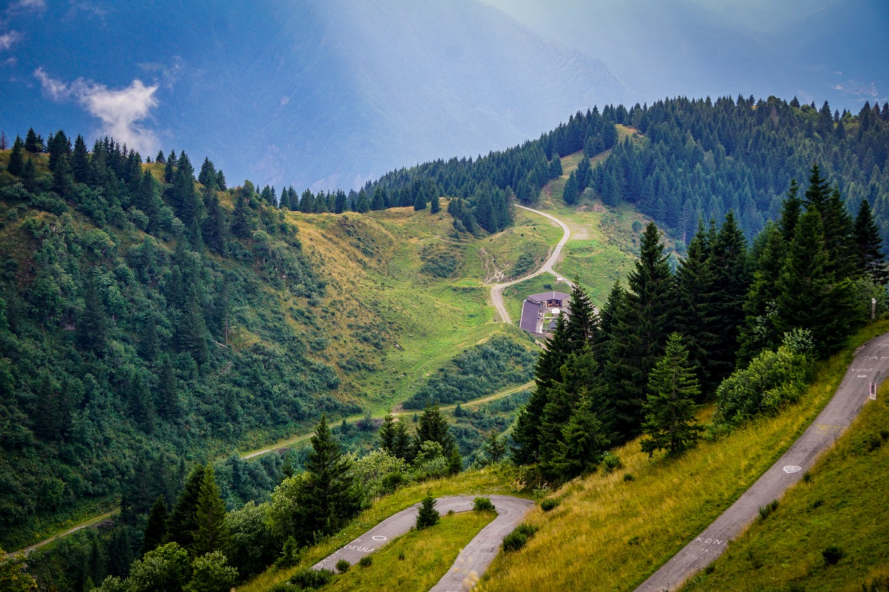 Extrem steiler Anstieg des Monte Zoncolan mit dichter Vegetation.