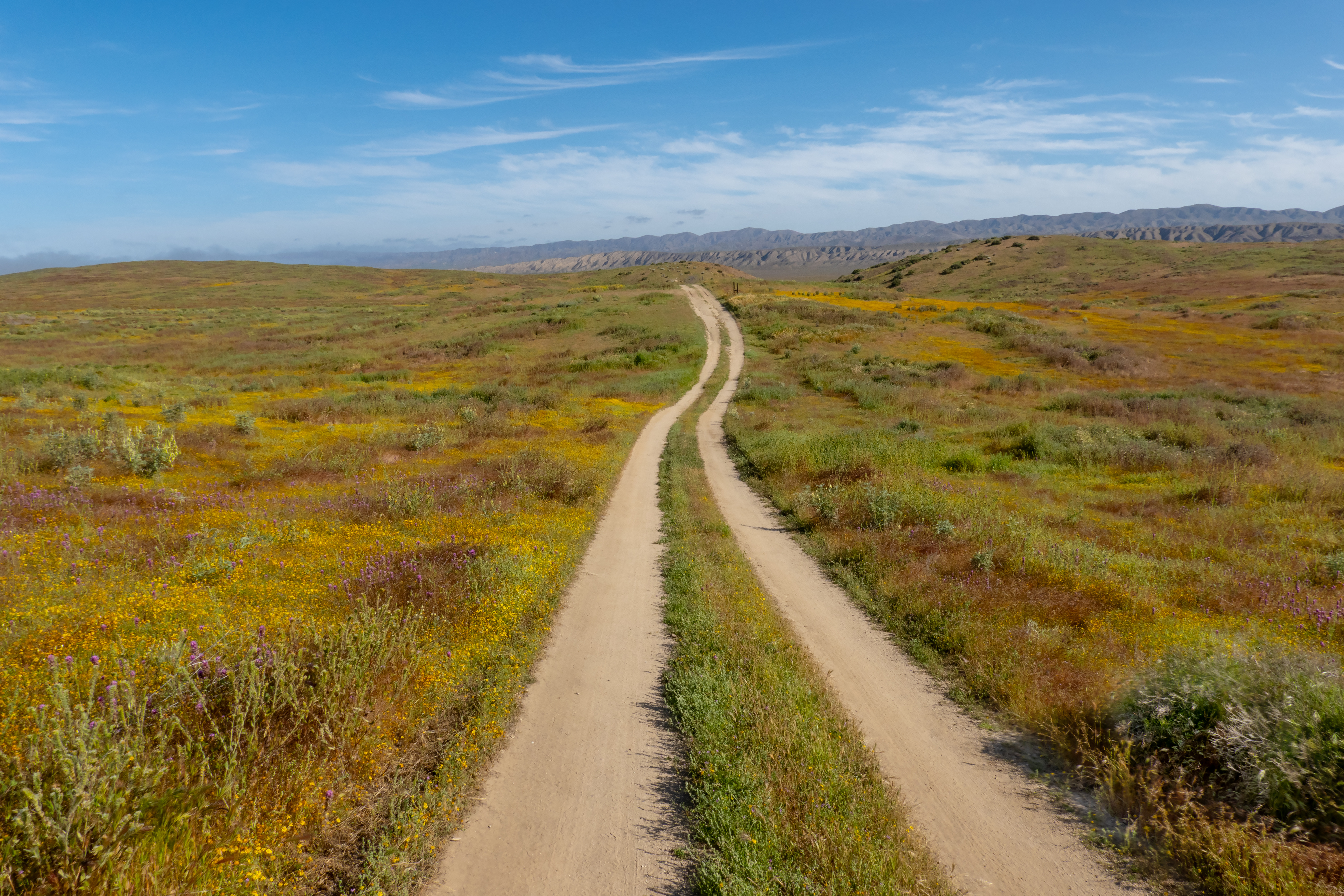 Carrizo Plain Trail
