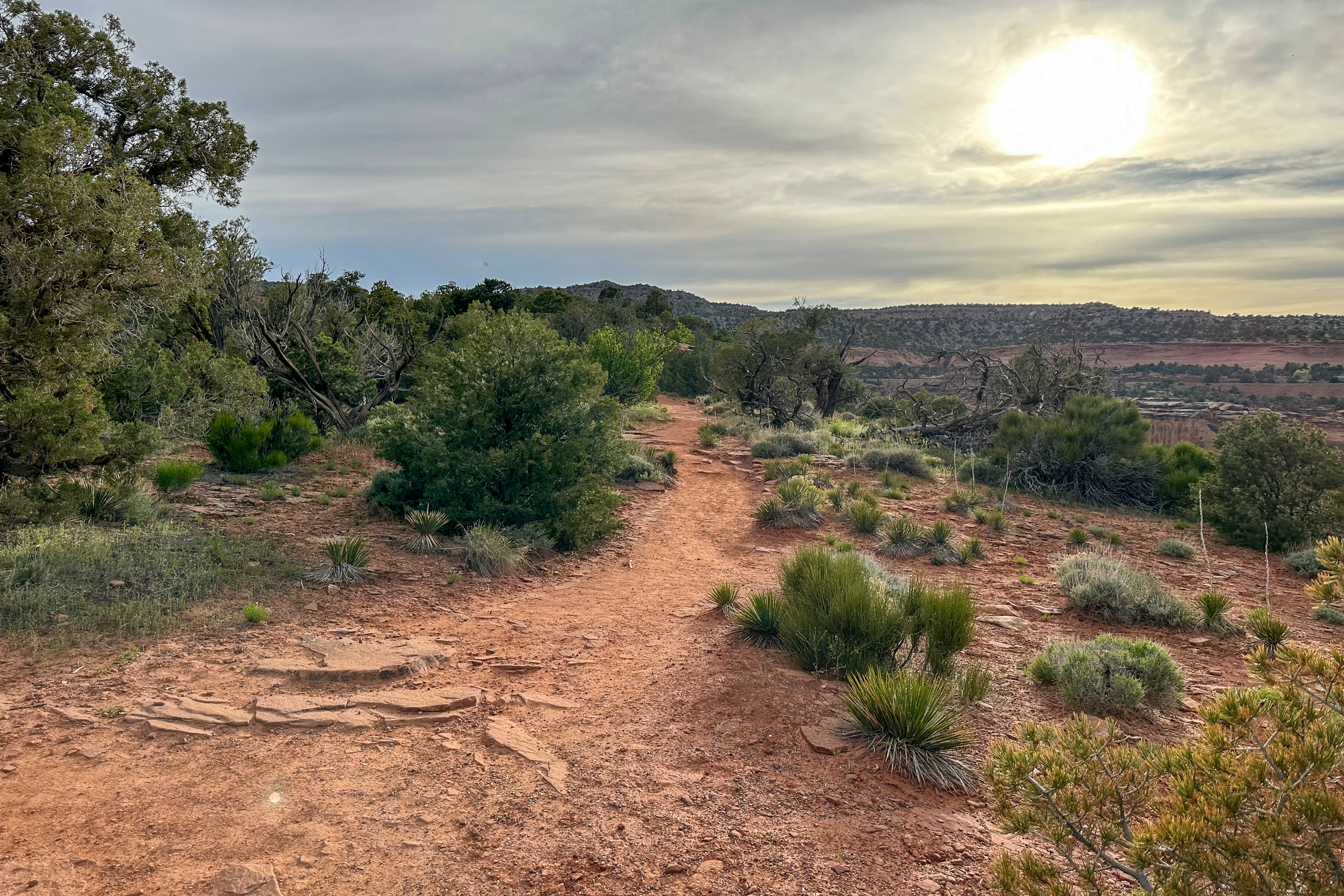 Colorado A hiking trail at the Colorado National Monument near Grand Junction