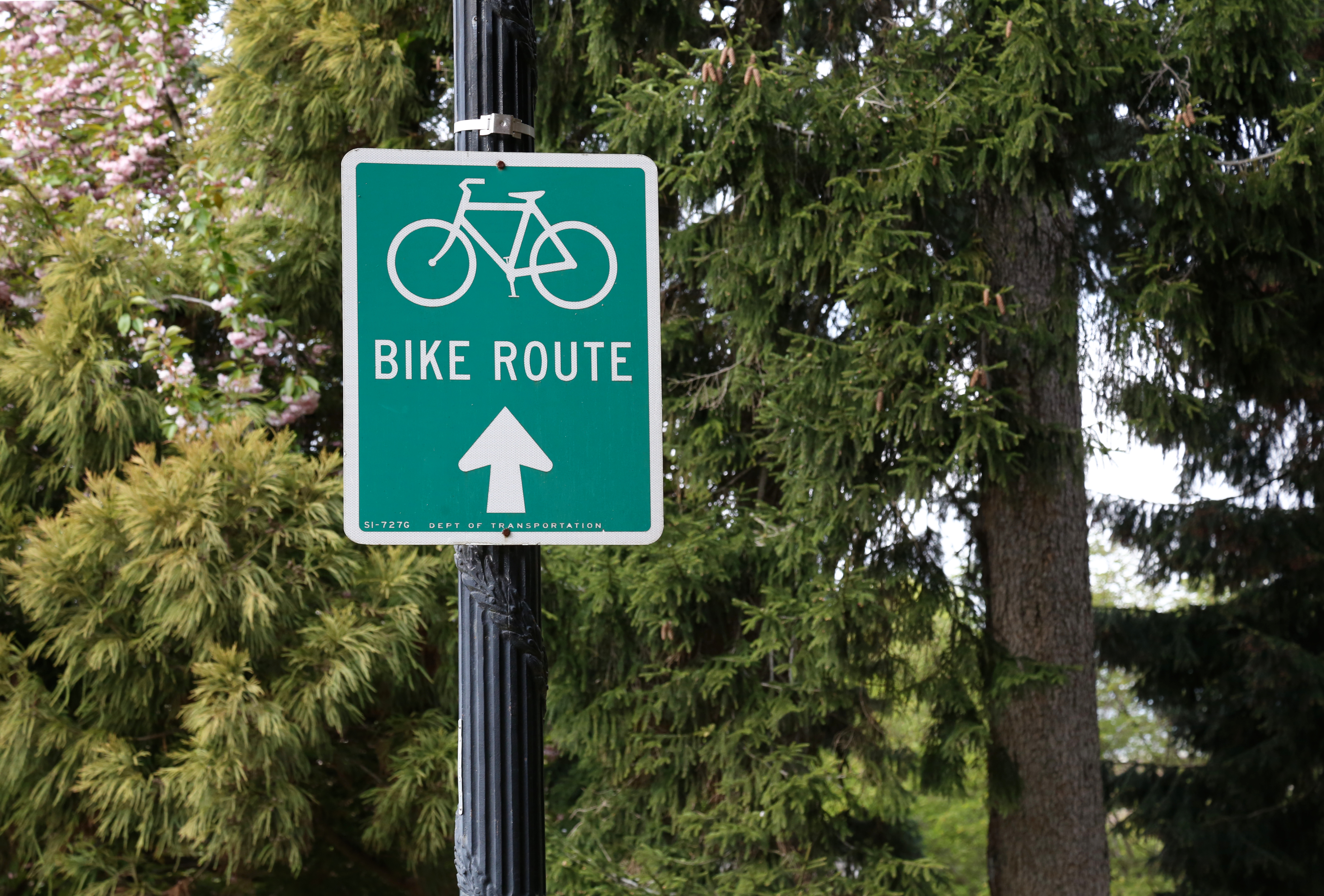 Bicycle route sign on a lamppost in a park with trees in the background