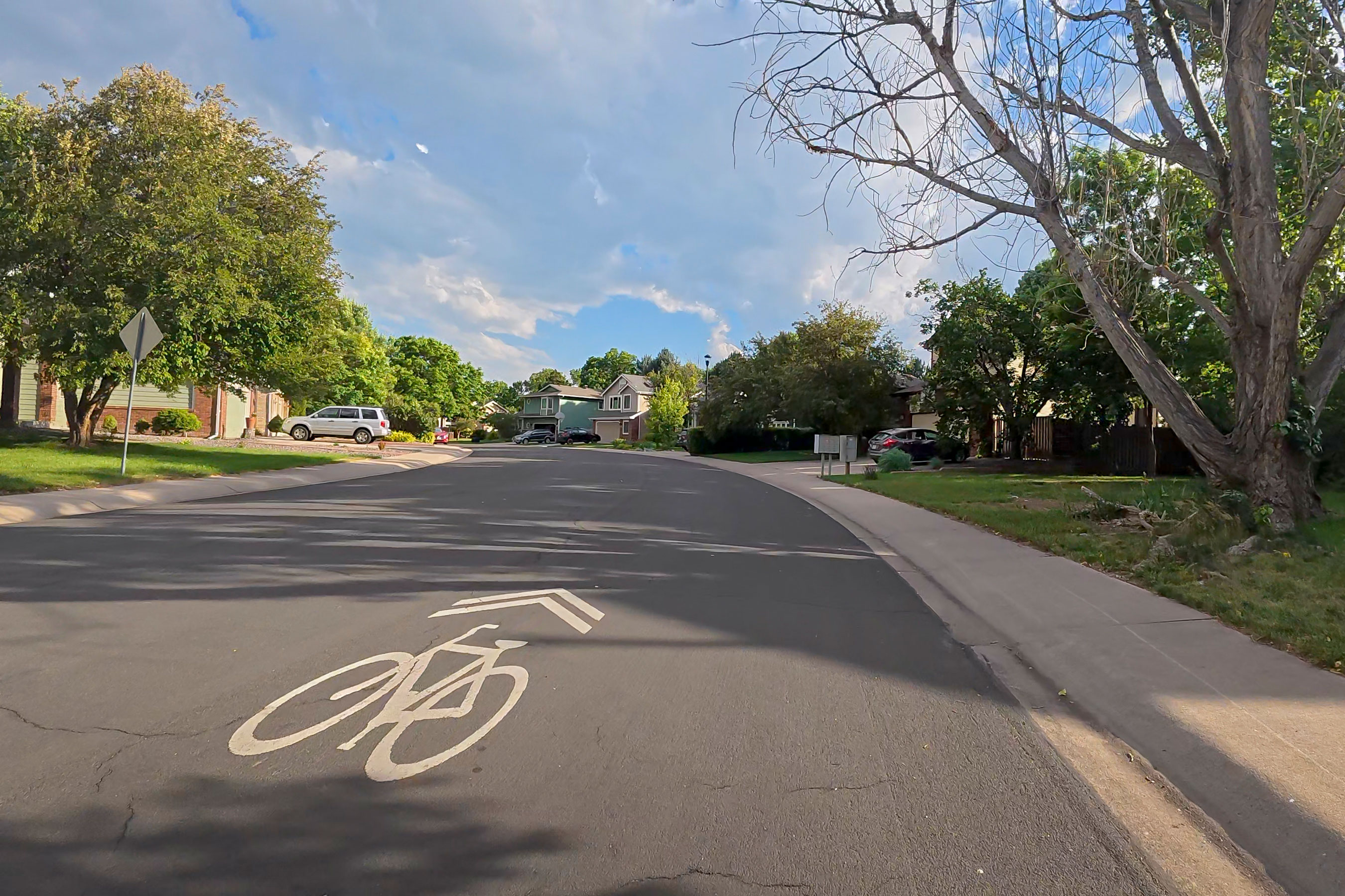 Summer cycling on a residential street in Fort Collins in northern Colorado