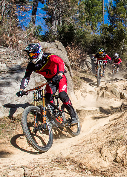ergon cycling