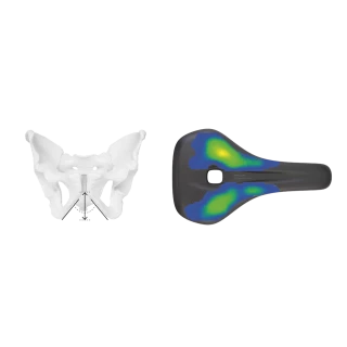 Male pelvis and Ergon saddle SF Sport Gel Men Male pelvis and Ergon saddle SF Sport Gel Men with pressure distribution