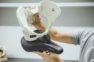 Pelvic Skeleton on an Ergon Saddle An ergonomist holding a pelvic skeleton over an Ergon saddle to demonstrate the ergonomic fit
