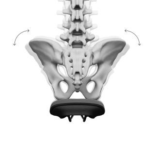 Dynamisches Sitzen auf einem Ergon-Sattel mit Core 3D-Technologie Grafik eines Beckenskeletts auf einem Ergon-Sattel mit Core 3D-Technologie, das die seitliche Hüftbewegung beim dynamischen Sitzen veranschaulicht.