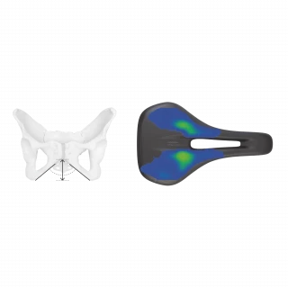 Female pelvis and Ergon saddle SF Sport Gel Women Female pelvis and Ergon saddle SF Sport Gel Women with pressure distribution